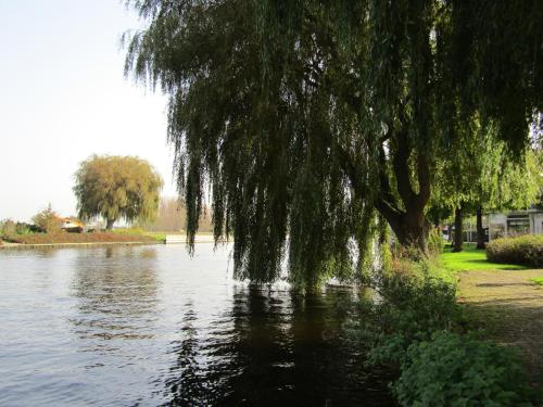 Výhled na řeku, která protéká v blízkosti hotelu