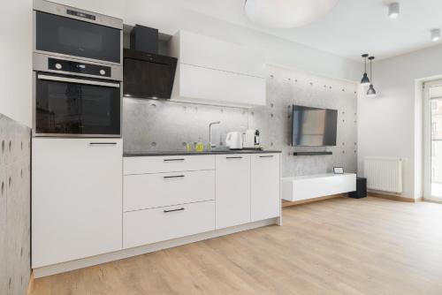 A kitchen or kitchenette at Venezia Apartment