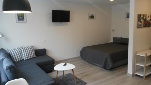 sala de estar con sofá y cama en Anykščiai Center Apartment, en Anykščiai