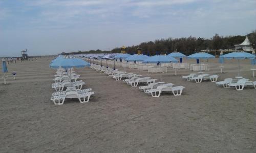 una fila de sillas y sombrillas blancas en una playa en Agriturismo Dolceacqua, en Cavallino-Treporti