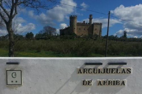 um castelo numa colina em frente a uma parede em Casa Rural Castillo de Cáceres em Cáceres