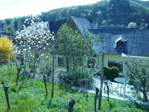 Kebun di luar Pension am Weinberg