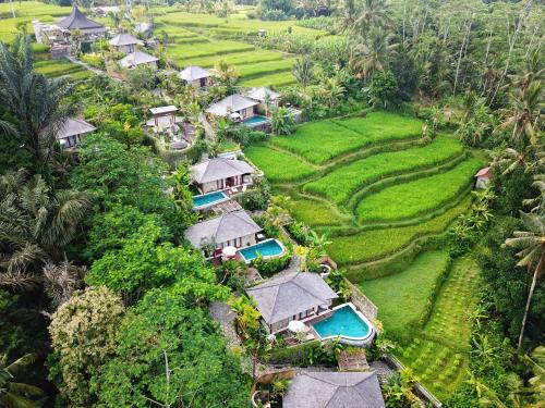 A piscina localizada em Nau Villa Ubud ou nos arredores