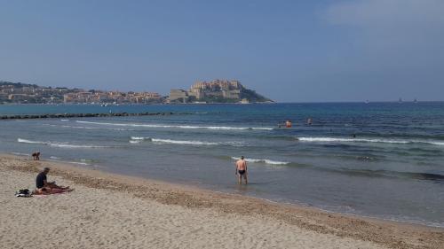 eine Gruppe von Menschen, die am Strand im Wasser spielen in der Unterkunft Casa ANNA in Calvi