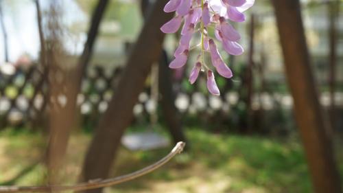 Um jardim em Hotel Morfeas