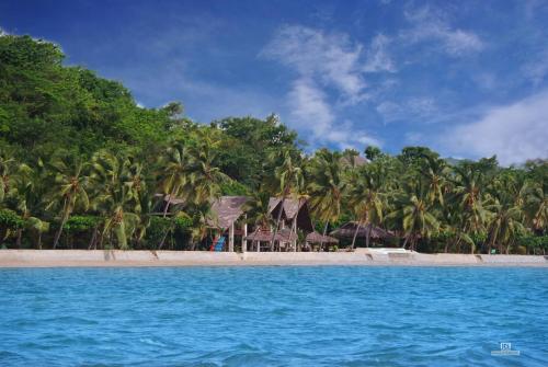 een strand met palmbomen en huizen erop bij Anjiamarango Beach Resort in Nosy Be