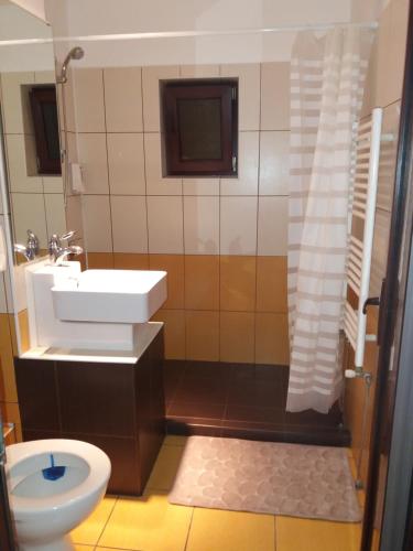 y baño con lavabo y aseo. en Mario Apartament regim hotelier, en Reşiţa