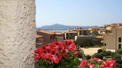 Un mazzo di fiori rossi in un vaso vicino a un edificio. di Blu Baita a La Maddalena