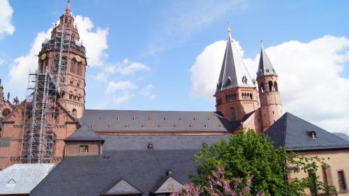 Gambar di galeri bagi Hof Ehrenfels di Mainz