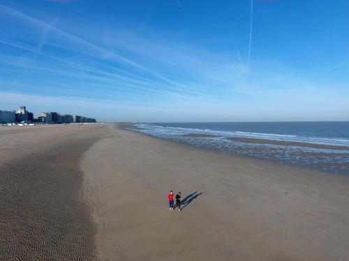 zwei Leute gehen am Strand spazieren in der Unterkunft Hotel Riant-Séjour by WP Hotels in Blankenberge