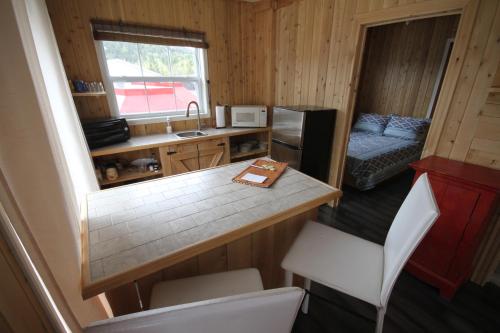 a small kitchen with a counter top and a sink at Tadou-Shack in Tadoussac