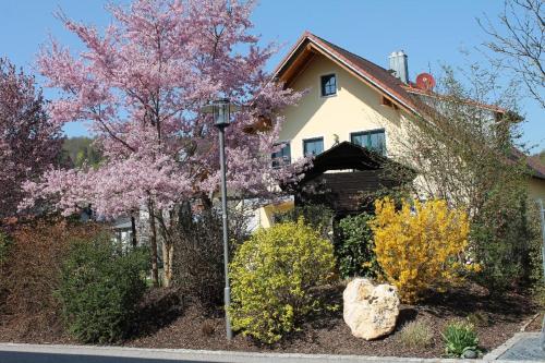 Garður fyrir utan Ferienwohnung Faber mit großem Südbalkon