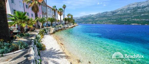 een strand met palmbomen en een waterlichaam bij Apartments Jasmina in Korčula