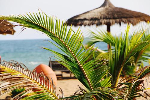 una spiaggia con ombrellone, sedie e l'oceano di Pure Plage a Lomé