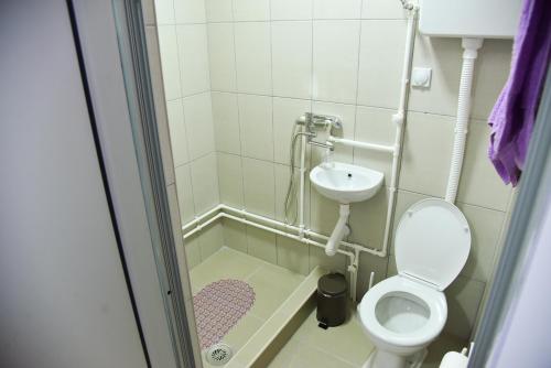 La petite salle de bains est pourvue de toilettes et d'un lavabo. dans l'établissement PRENOĆIŠTE PILOT, à Niš