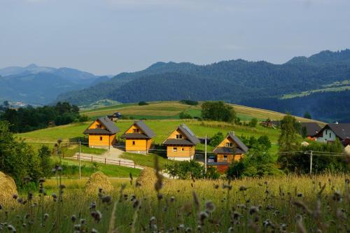 um grupo de casas numa colina num campo em Domki u Huberta em Grywałd