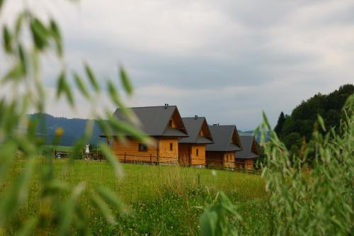 uma casa numa colina num campo de relva em Domki u Huberta em Grywałd