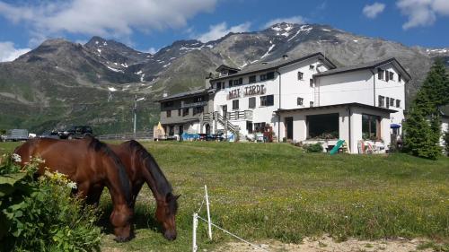 Ein allgemeiner Bergblick oder ein Berglick von des Hotels aus