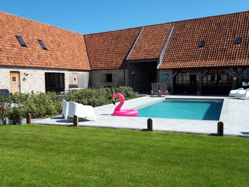 einen Pool mit einem rosa Flamingo im Hof in der Unterkunft vakantiehoeve 't Goed ter Leeuwen in De Haan