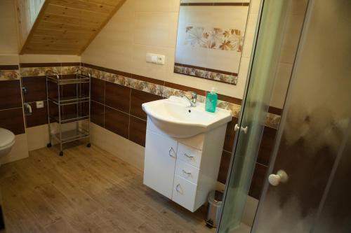 a small bathroom with a sink and a shower at Vila Sofia in Luhačovice