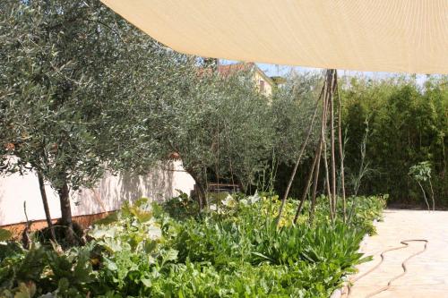 een tuin met een bos van planten en bomen bij Apartments Morje in Umag