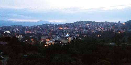 Uma vista da montanha tirada da casa de hóspedes 