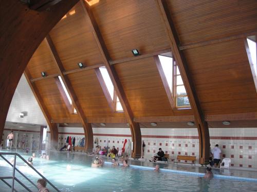 un grupo de personas en una piscina en Abigél Vendégház, en Harkány