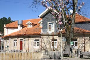 dom z drzewem przed nim w obiekcie Hotel Rural Villa do Banho w mieście Termas de Sao Pedro do Sul