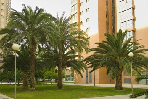 Um jardim em Apartamentos Plaza Picasso