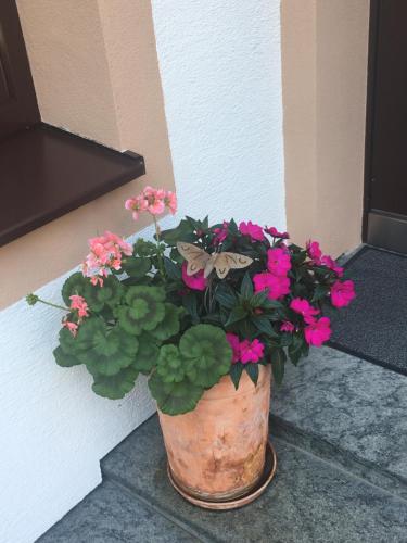 una pianta in vaso con fiori rosa e una farfalla di Haus Ganeu a Gaschurn