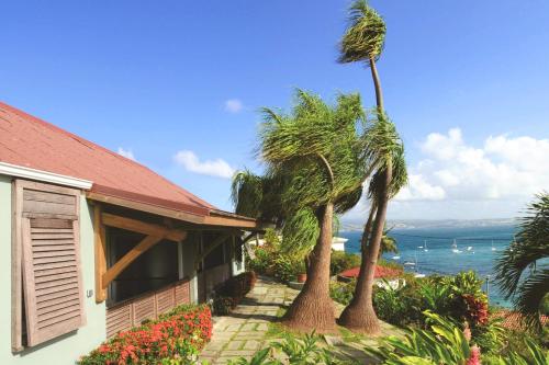 ein Haus mit zwei Palmen neben einem Gehweg in der Unterkunft Le Panoramic in Les Trois-Îlets