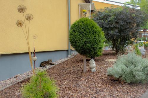 Ein Garten an der Unterkunft Ferienwohnung am Dornheimer Berg