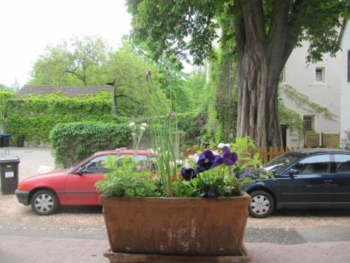 una gran olla de flores delante de un coche en Zwischen-Rhein-und-Reben, zentral, barrierefrei, en Speyer