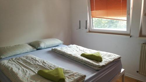 sypialnia z 2 łóżkami i zielonymi poduszkami w obiekcie Most Hostel w Lublanie