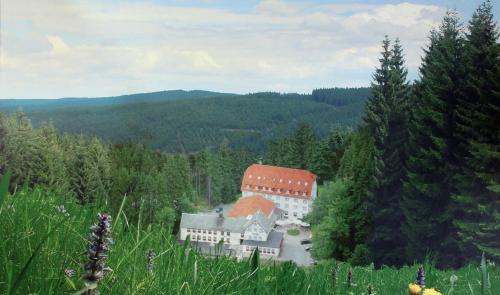 duży budynek w środku lasu w obiekcie Hotel Rodebachmühle w mieście Georgenthal