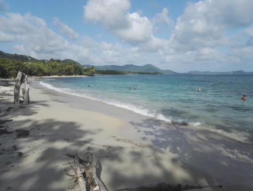 Photo de la galerie de l'établissement Studio - Le Ti-Colibri - Plages et piscine à Sainte-Luce - Martinique - Antilles, à Sainte-Luce