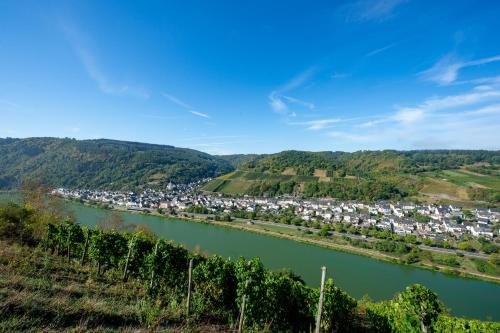 Afbeelding uit fotogalerij van Weingut Pension Gibbert-Pohl in Briedel