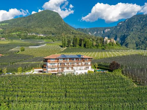 un hotel in un vigneto con montagne sullo sfondo di Feldhof Schenna a Scena