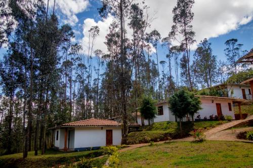 une maison au milieu d'une forêt dans l'établissement La Ensenada Hotel Chachapoyas, à Chachapoyas