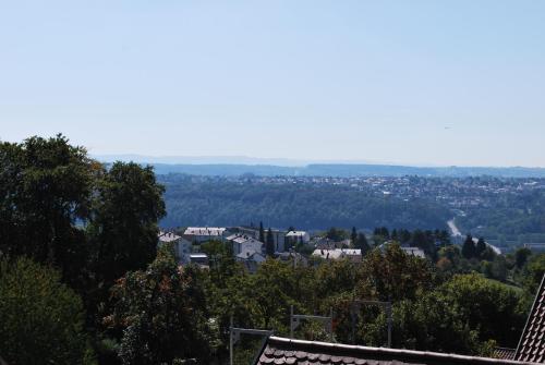 - une vue sur la ville depuis une colline dans l'établissement Hotel am Berg Esslingen, à Esslingen am Neckar