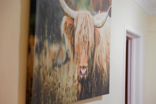 un dipinto di una mucca con le corna su un muro di Zoo House Chester a Chester