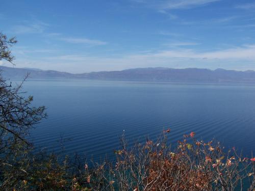 Villa yakınında doğal manzara