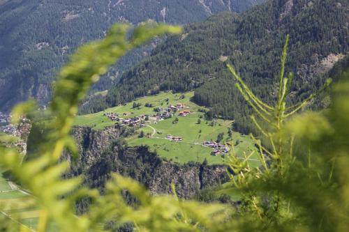 a view of a green field in the mountains at Apart Andrea in Längenfeld