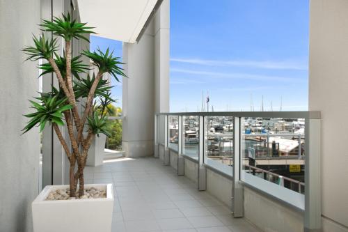 einen Balkon mit Palmen und Hafenblick in der Unterkunft Cairns Private Apartments in Cairns