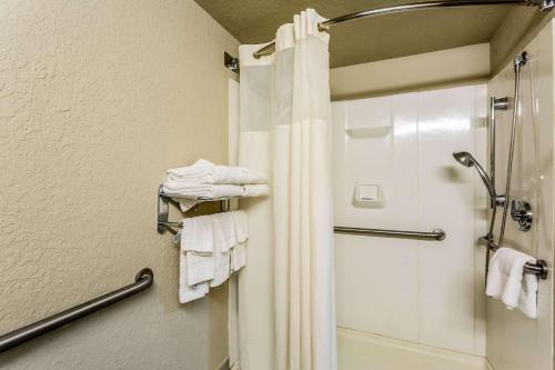 エルパソにあるQuality Inn & Suites El Paso I-10のバスルーム(シャワー、トイレ、タオル付)