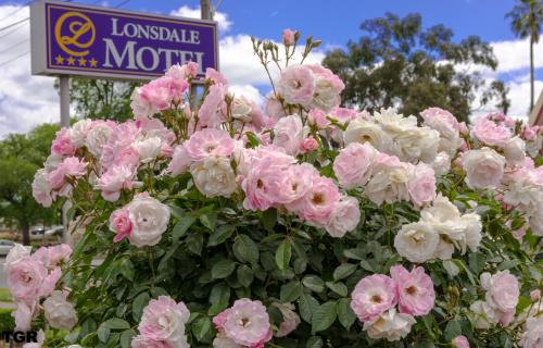 Un mazzo di fiori rosa davanti a un cartello di Hamilton Lonsdale Motel a Hamilton