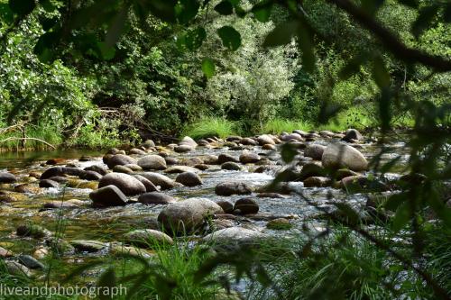 Paisagem natural perto of the country house