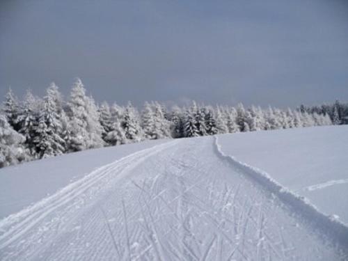 Apartmány Polevsko durante o inverno