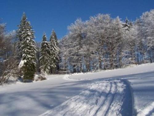 Apartmány Polevsko durante o inverno