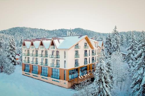 une vue aérienne sur un hôtel dans la neige dans l'établissement AuRoom Bakuriani Resort, à Bakuriani